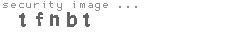 security image