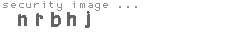 security image