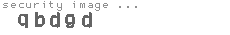 security image