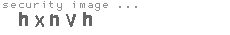 security image