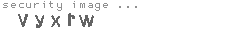 security image