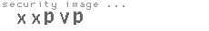 security image