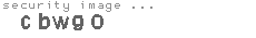 security image