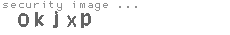 security image