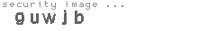 security image