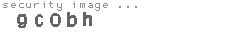 security image