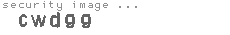 security image