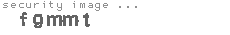 security image