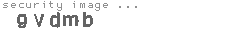 security image