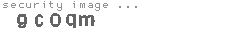 security image