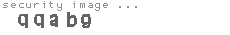 security image