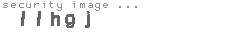 security image