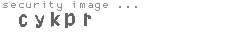 security image