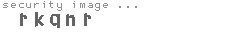 security image