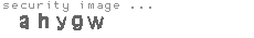 security image