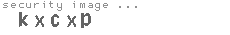 security image