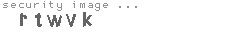 security image