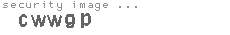 security image