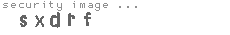 security image