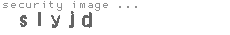 security image