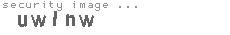 security image