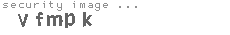 security image