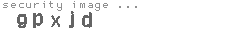 security image