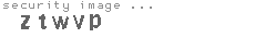 security image