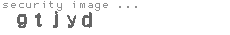 security image