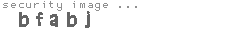 security image