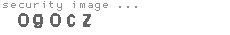 security image