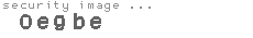security image