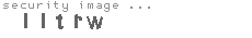 security image