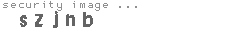security image