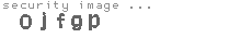 security image