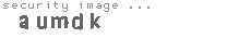 security image