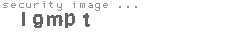 security image