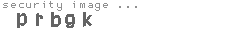 security image