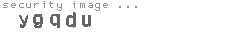 security image