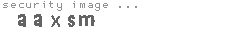 security image