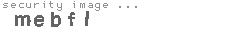 security image