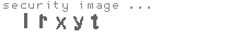 security image