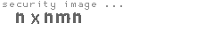 security image