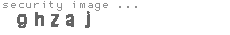 security image