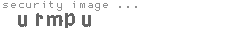 security image