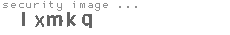 security image