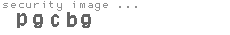 security image