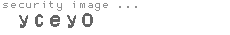 security image