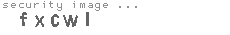 security image