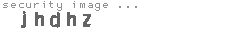 security image